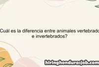 ¿Cuál es la diferencia entre animales vertebrados e invertebrados?