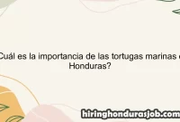¿Cuál es la importancia de las tortugas marinas en Honduras?