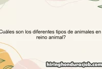 ¿Cuáles son los diferentes tipos de animales en el reino animal?